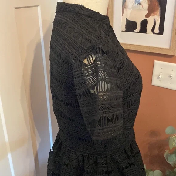 Rachel Parcell Anglaise L Black embroidered overlay fit & flare lined knee dress - Picture 7 of 16